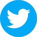 x logo